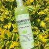 SBR - 🌿 SHAMPOO DE BERGAMOTA x "RAPUNZEL"🌿(1 PZA)