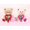 7579- 🫶🏻♥️🐻𝐏𝐄𝐋𝐔𝐂𝐇𝐄 𝐁𝐄𝐄𝐑 𝐋𝐎𝐕𝐄🐻♥️🫶🏻(1 PZA)