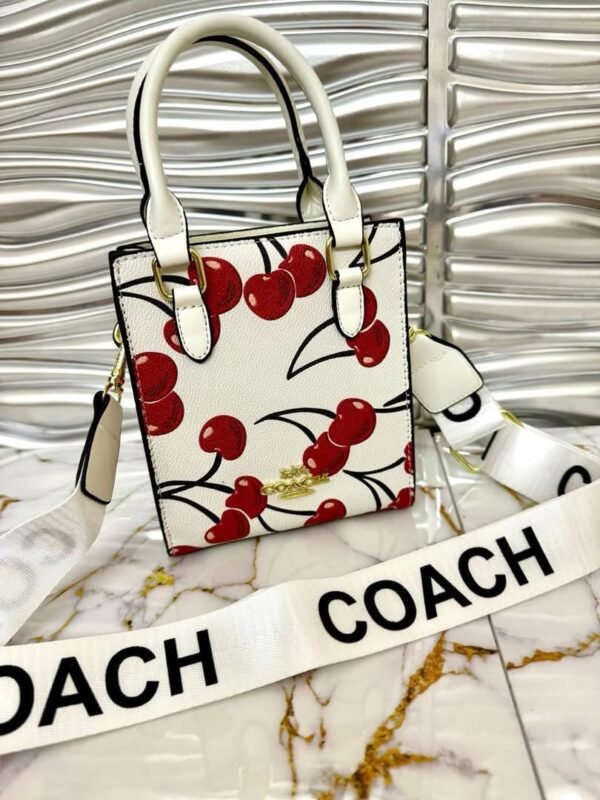 77132 - MINI BOLSO/CROSSBODY X "COACH" PREMIUM (1 PZA) - Imagen 9