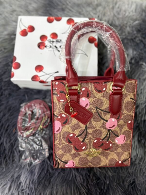 77132 - MINI BOLSO/CROSSBODY X "COACH" PREMIUM (1 PZA) - Imagen 23