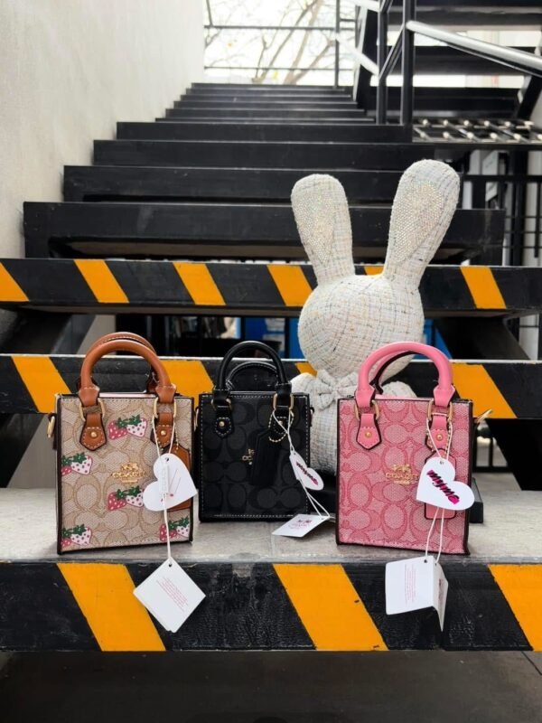 77132 - MINI BOLSO/CROSSBODY X "COACH" PREMIUM (1 PZA) - Imagen 4