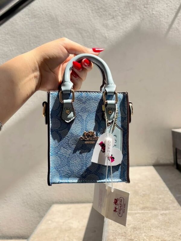 77132 - MINI BOLSO/CROSSBODY X "COACH" PREMIUM (1 PZA) - Imagen 11