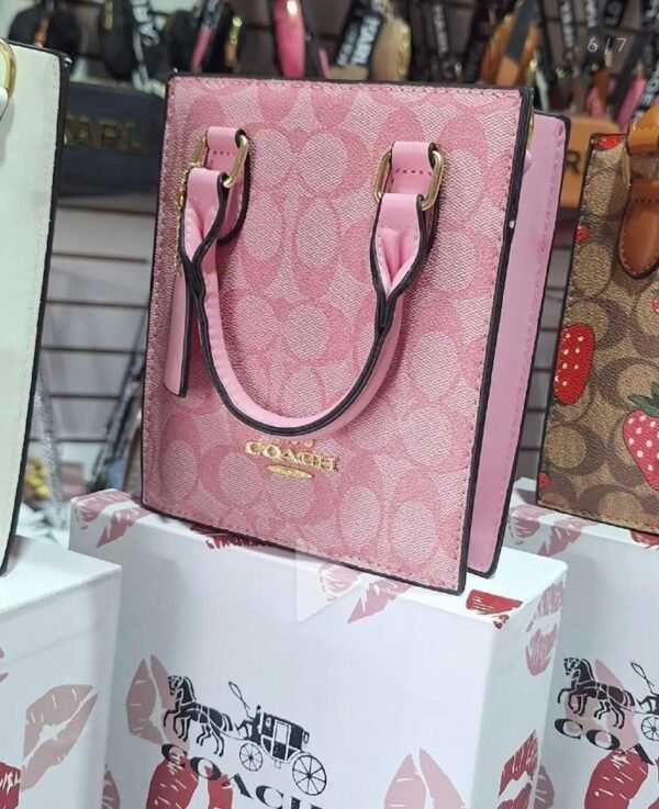 77132 - MINI BOLSO/CROSSBODY X "COACH" PREMIUM (1 PZA) - Imagen 22