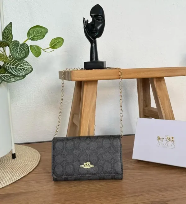 W2312 - BOLSA PREMIUM TIPO CARTERA X "COACH" CON CAJA (1 PZA) - Imagen 9