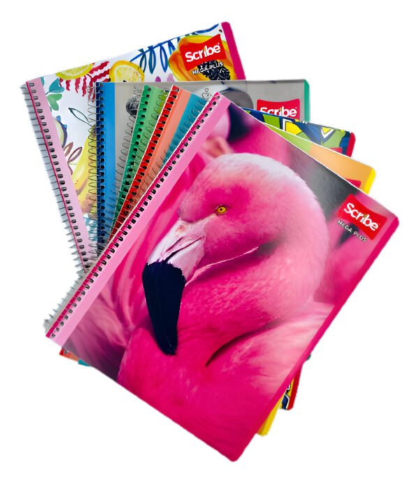 7513 - CUADERNO SCRIBE PROFESIONAL DE 100 HOJAS CON CUADRO GRANDE (1 PZA) - Imagen 3