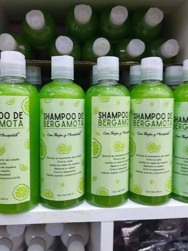 SBR - 🌿 SHAMPOO DE BERGAMOTA x "RAPUNZEL"🌿(1 PZA)