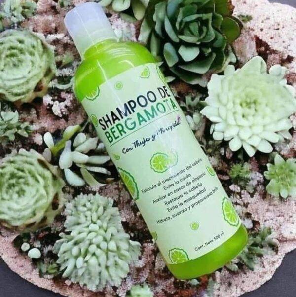 SBR - 🌿 SHAMPOO DE BERGAMOTA x "RAPUNZEL"🌿(1 PZA)