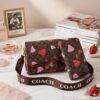 K2707 - CROSSBODY CON CARTERA DE "PERSONAJES" x "COACH" (1 PZA)