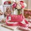 0434 - CROSSBODY CON DOBLE CORREA x "COACH" (1 PZA)