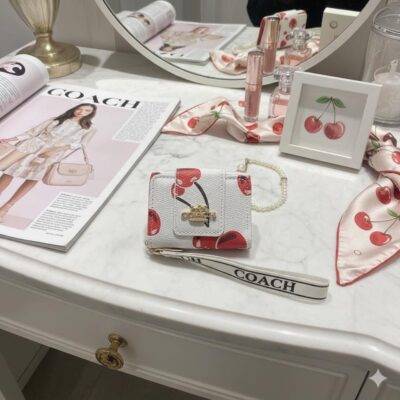 WhatsApp Image 2026-06-20 at 11.38.32 AM WXL-1087 - MINI MONEDERO x "COACH" POR TERCIA (3 PIEZAS)