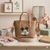 M643-27 - BOLSO DISEÑO "CHERRY, LIPS y MICKEY" x "COACH" (1 PZA)