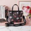 M643-27 - BOLSO DISEÑO "CHERRY, LIPS y MICKEY" x "COACH" (1 PZA)