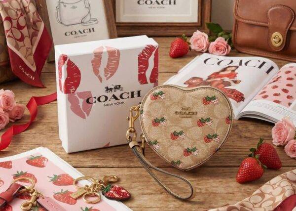 WXL-1063 - MONEDERO EN FORMA DE CORAZON x "COACH" CON CAJA (1 PZA)