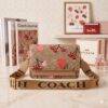 M643-32 - CROSSBODY "CHERRY y STRAWBERRY "CON BROCHE x "COACH" (1 PZA)
