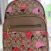 L-K279799 - MOCHILA DISEÑO PERSONAJES y CHERRY x "COACH" (1 PZA)