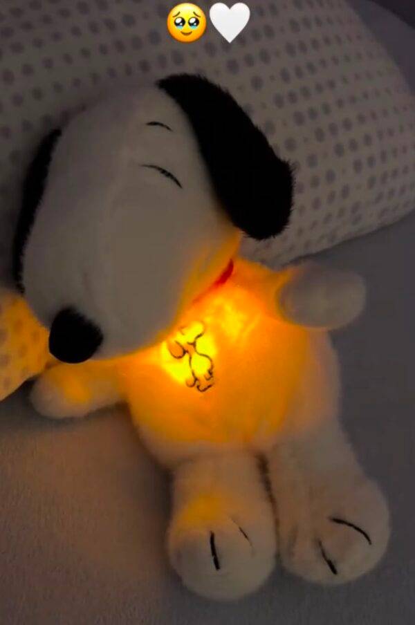 LU99530 - PELUCHE SENSORIAL x "SNOOPY" (1 PZA)