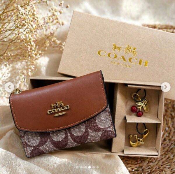 WXL-1105 - MONEDERO CON LLAVEROS PREMIUM x "COACH" (1 PZA)