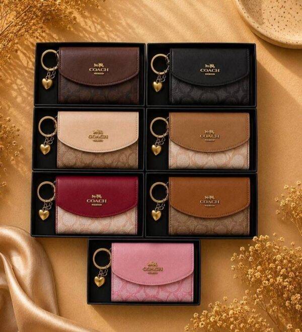 WXL-1105 - MONEDERO CON LLAVEROS PREMIUM x "COACH" (1 PZA)
