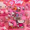 8590 - LIBRETA "ORGANIGASTO" DE "SNOOPY y HELLO KITTY" x "COACH" (1 PZA)
