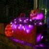 WS477 - SERIE DE LUCES LED "ARAÑA" x "HALLOWEEN" (1 PZA)