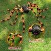 24037- ARAÑA ELECTRICA x "HALLOWEEN" (1 PZA)